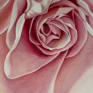 Rose-1 by Miriam Bucheli 