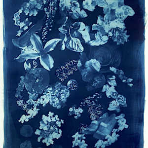 Lucky by Susan Murie 