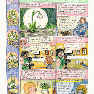 Some Thoughts on Snow Drops by Summer Pierre 