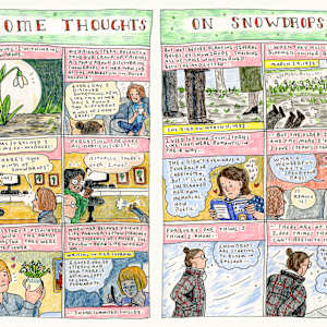 Some Thoughts on Snow Drops by Summer Pierre 