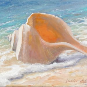 Conch Shell in Surf