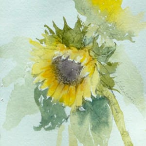 Sunflowers by Lucia deLeiris