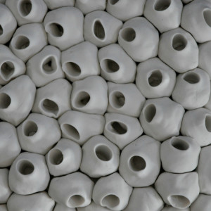 Barnacle - 5" by Heather Knight 