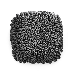 Lichen - 5" by Heather Knight  Image: Lichen in black pigmented porcelain