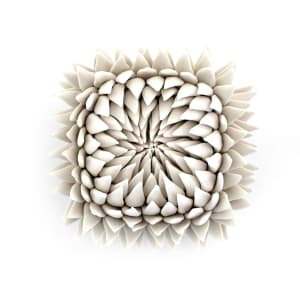 Luxe Protea 5" by Heather Knight