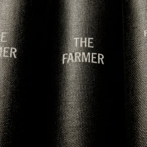 THE FARMER by Mickey Smith