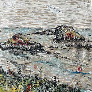 Coastal Crusader by Dawn Petrill 