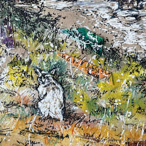 Coastal Crusader by Dawn Petrill 