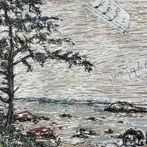 Coastal Crusader by Dawn Petrill 