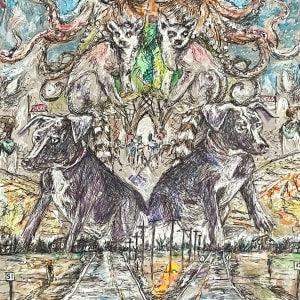 Reach Out by Dawn Petrill