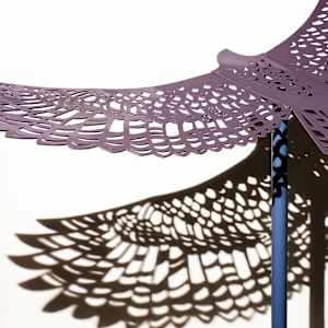 Shifting Perspectives by Nicki Adani 