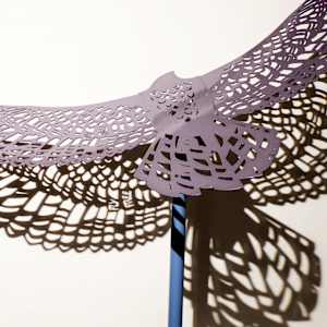 Shifting Perspectives by Nicki Adani 