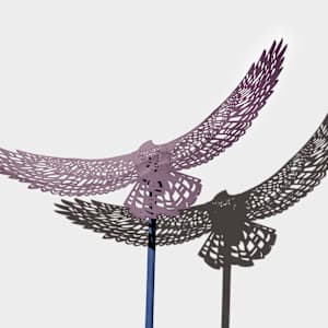 Shifting Perspectives by Nicki Adani 
