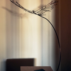 Soaring #9 by Nicki Adani