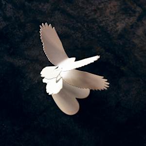 Love Birds - White by Nicki Adani 