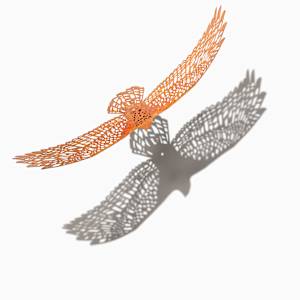Bird's Eye View, Fly Free, Earth, hanging by Nicki Adani 