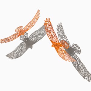 Bird's Eye View, Fly Free, Earth, hanging by Nicki Adani 