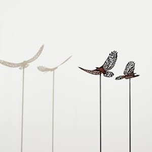 Bird’s Eye View Tall; Earth by Nicki Adani 