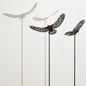 Bird’s Eye View Tall; Earth by Nicki Adani 