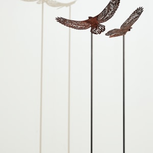 Bird’s Eye View Tall; Earth by Nicki Adani 