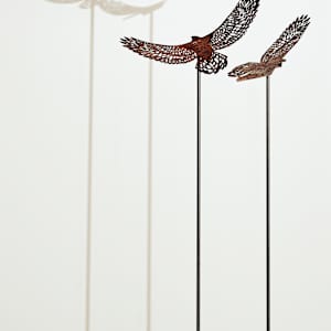 Bird’s Eye View Tall; Earth by Nicki Adani 