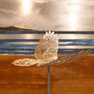 Flight Pattern by Nicki Adani 
