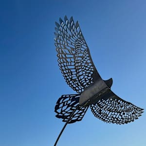 Shifting Perspectives #2 by Nicki Adani 