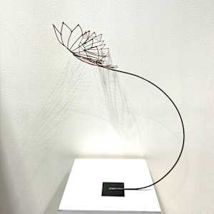 Soaring #9 by Nicki Adani 