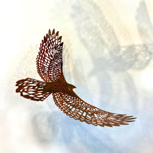 Bird's Eye View, Fly Free, Earth, hanging by Nicki Adani 