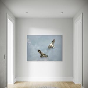 Trust Love by Nicki Adani 