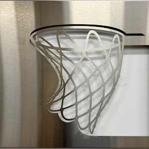 In Motion by Nicki Adani 