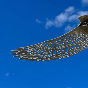 Birds Eye View - BR by Nicki Adani 