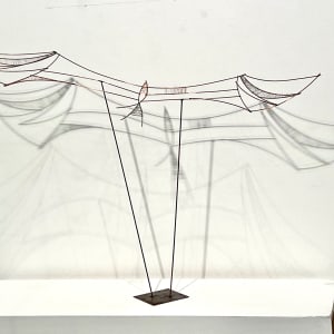 Soaring #5 by Nicki Adani 