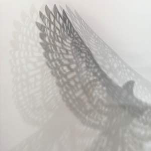 Bird’s Eye View - Be You by Nicki Adani 