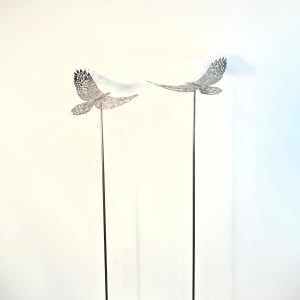 Birds Eye View, Tall, Set by Nicki Adani 
