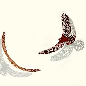Bird's Eye View, Fly Free, Earth, hanging by Nicki Adani 
