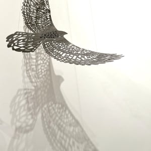 Bird's Eye View -  Fly Free, Wind by Nicki Adani 