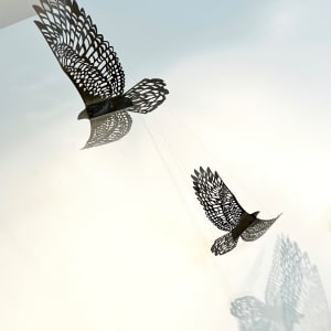 Bird's Eye View -  Fly Free, Wind by Nicki Adani 