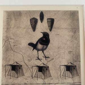 Shell, bird, tent - Solar Etching by Meg (Marguerite) Bernet