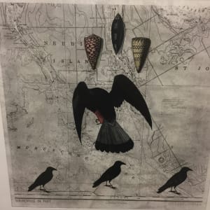 Shell, Bird, Bird - Solar Etching by Meg Bernet