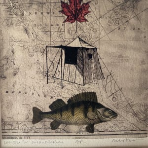 Shell, Tent Fish - Solar Etching