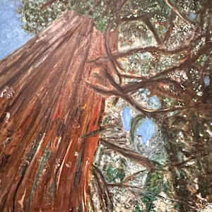 Tangled Elevation by Andrea, Image 1.