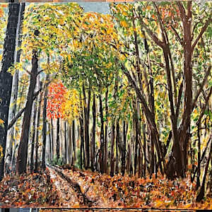 Fall in The Forest by Andrea, Image 1.