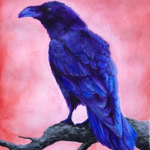 Watercolor Raven Study #2 by Krystlesaurus