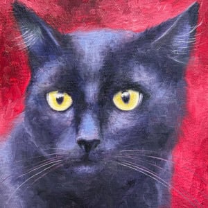 Little Black Cat by Krystlesaurus