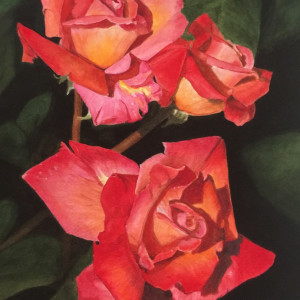 Three Roses by Salama 