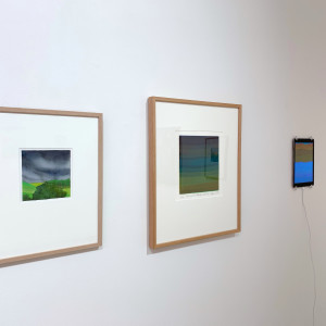 Fake Nature by Tony Curran, Image 1.