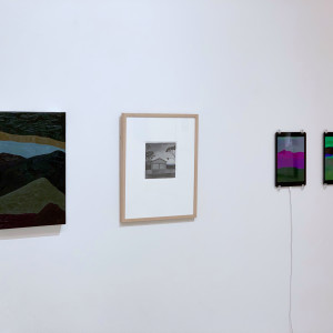 Fake Nature by Tony Curran, Image 2.