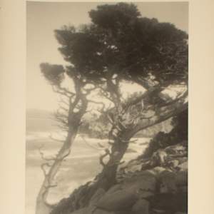 Untitled by Leopold Hugo