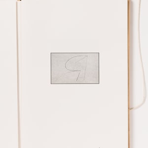 Wind Instruments by Simon Cutts, Image 11.